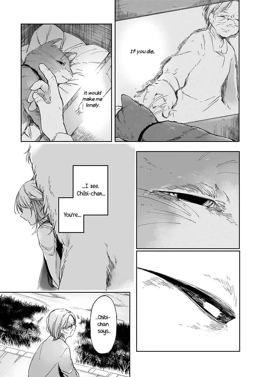 Page 13 Chapter 3 Dear NOMAN