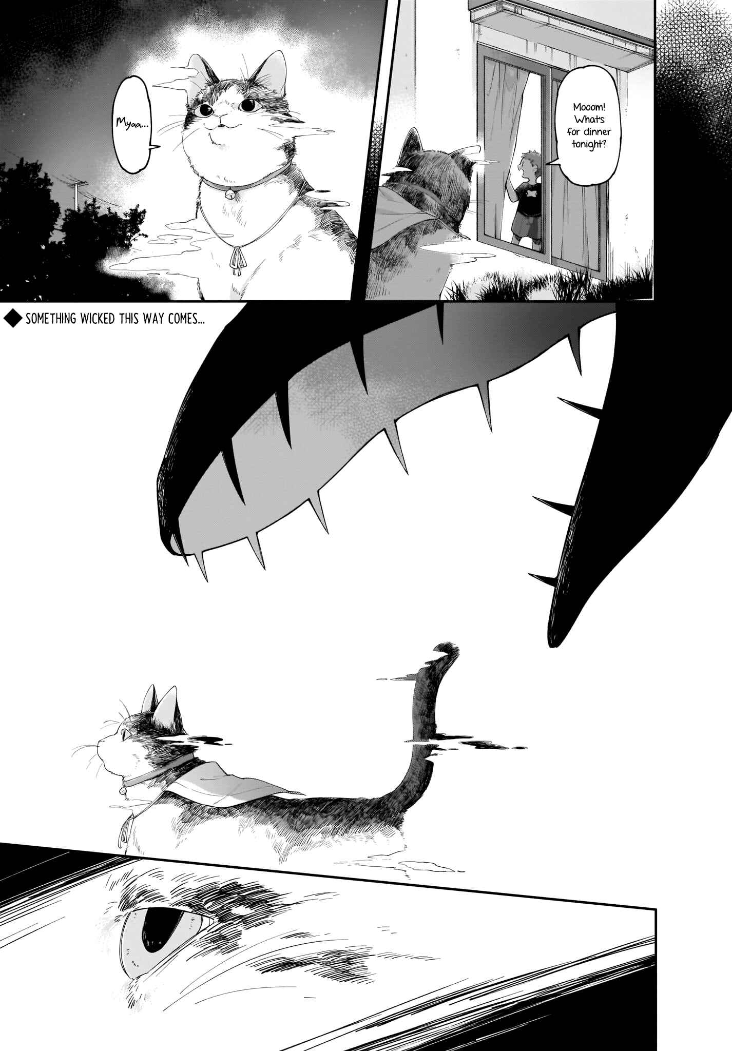 Page 1 Chapter 11 Dear NOMAN