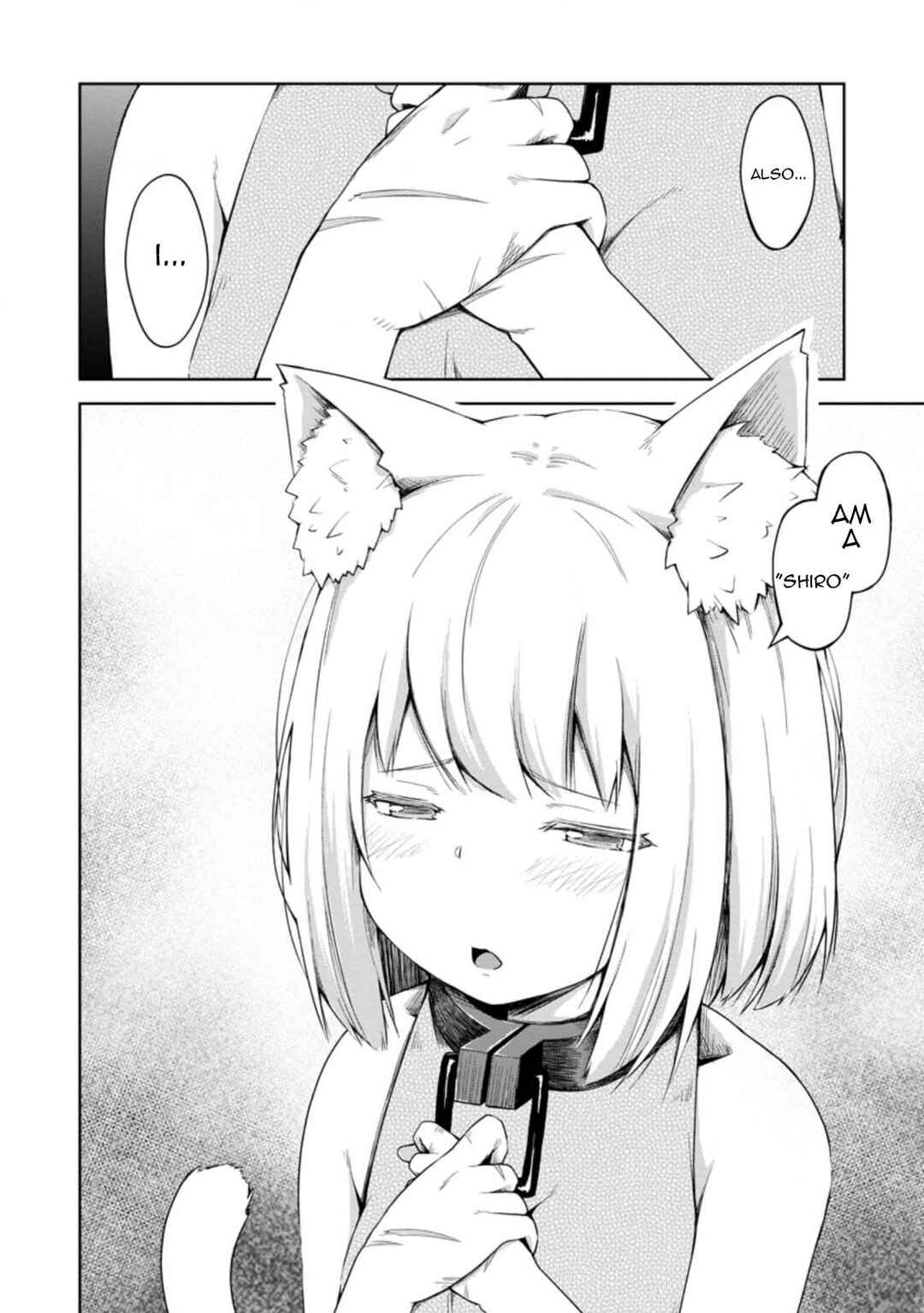 Page 17 Chapter 12 Kikaku Hazure no Eiyuu ni Sodate Rareta, Joushiki Hazure no Mahou Kenshi