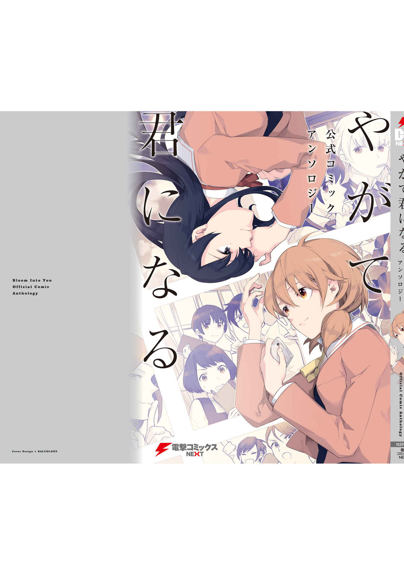 Page 19 Chapter 13 Bloom Into You Anthology