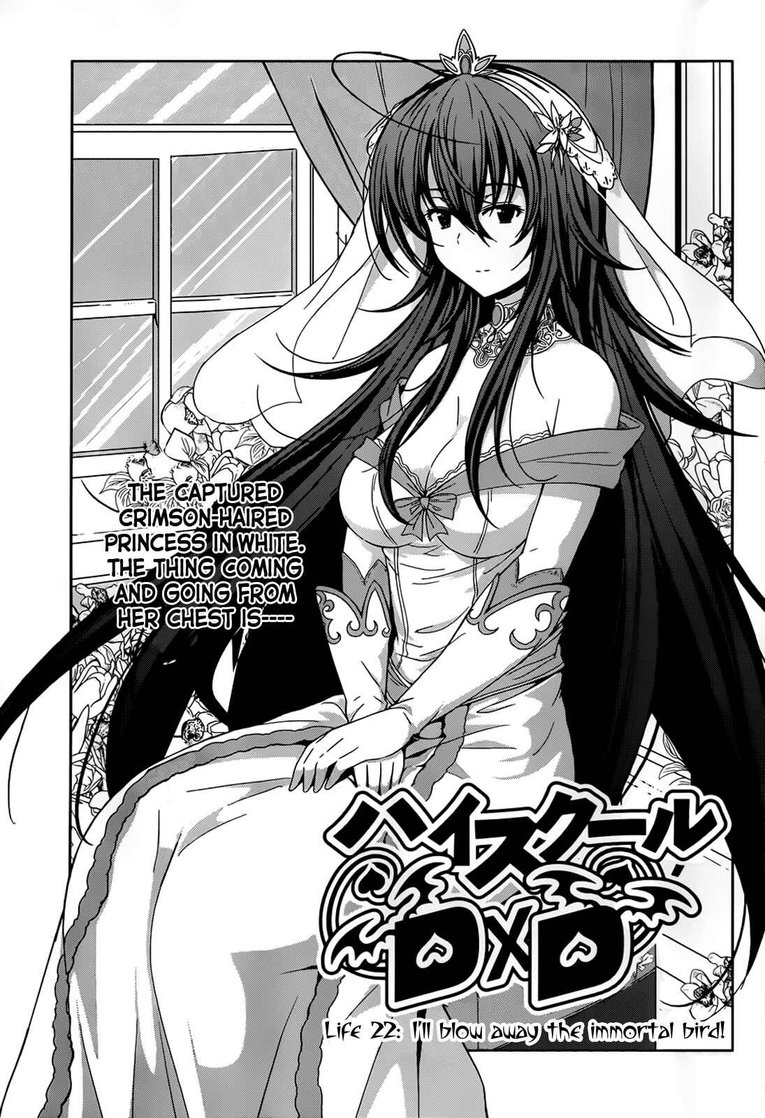 Page 2 Chapter 22 High School DxD