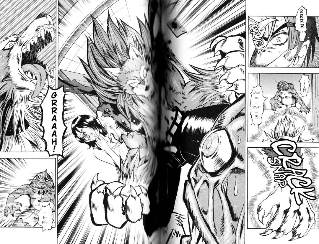 Page 13 Chapter 4 Bloody Roar the Fang