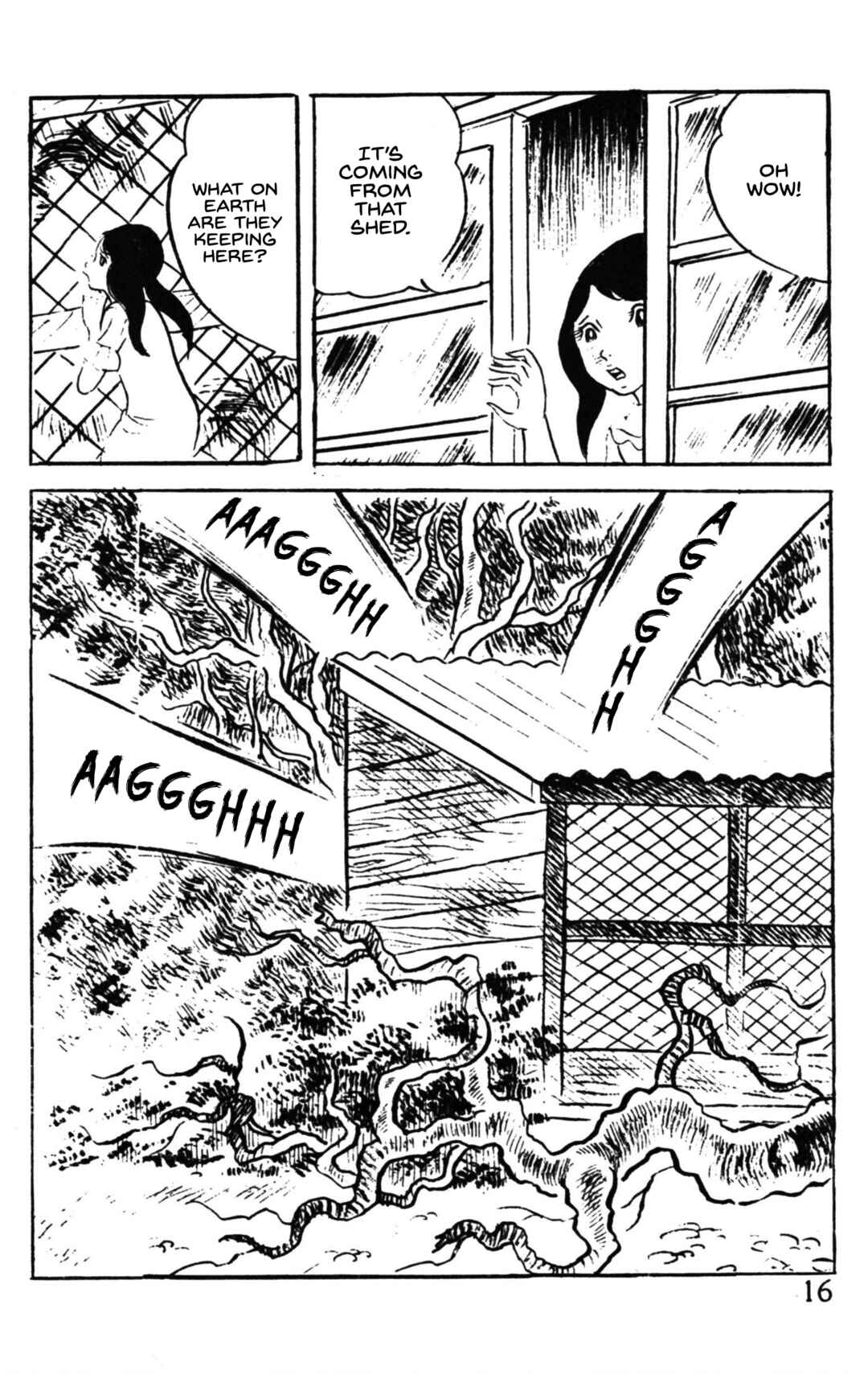 Page 14 Chapter Unknown_7908 The Dreadful Beaks