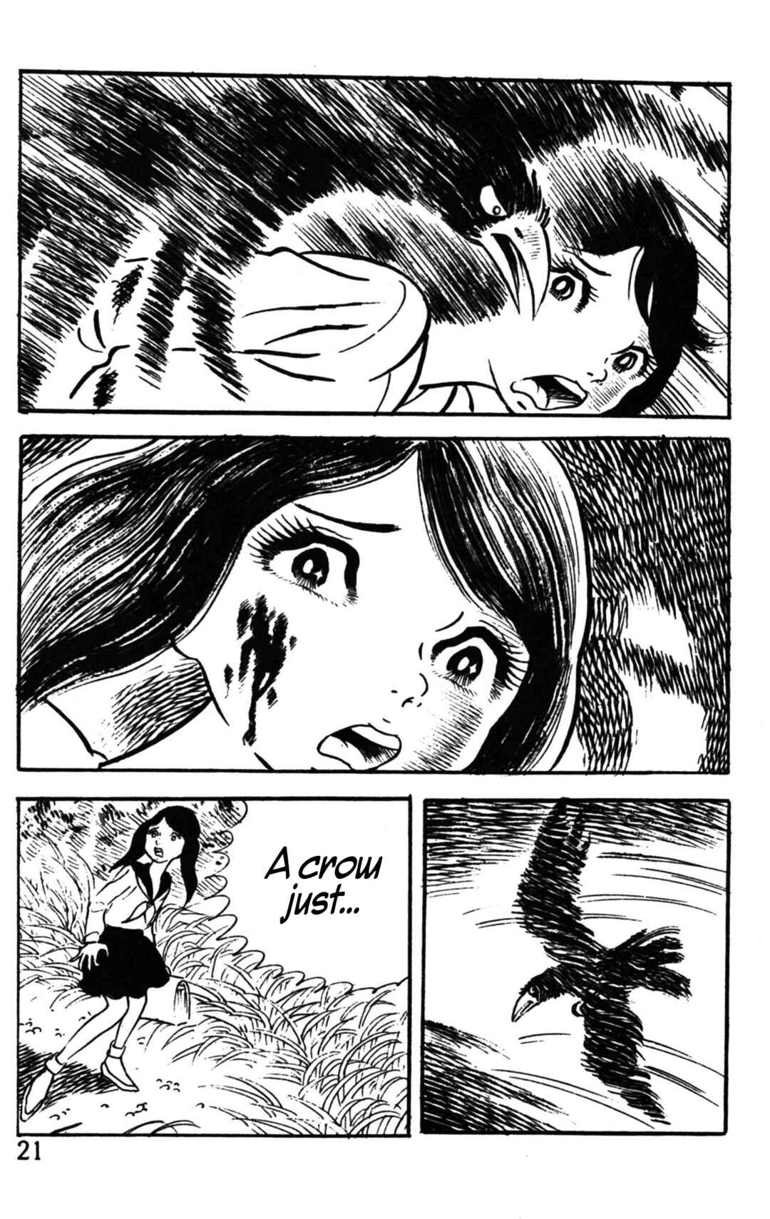 Page 19 Chapter Unknown_7908 The Dreadful Beaks