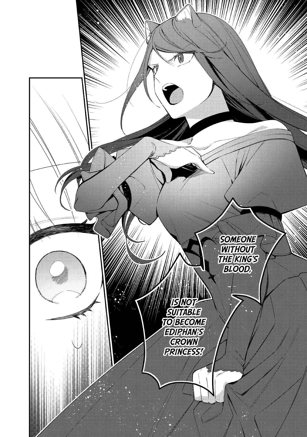Page 3 Chapter 13 Moto Juui no Reijou wa Konyaku Haki Saremashitaga, Mofumofu-tachi ni Daininkidesu!
