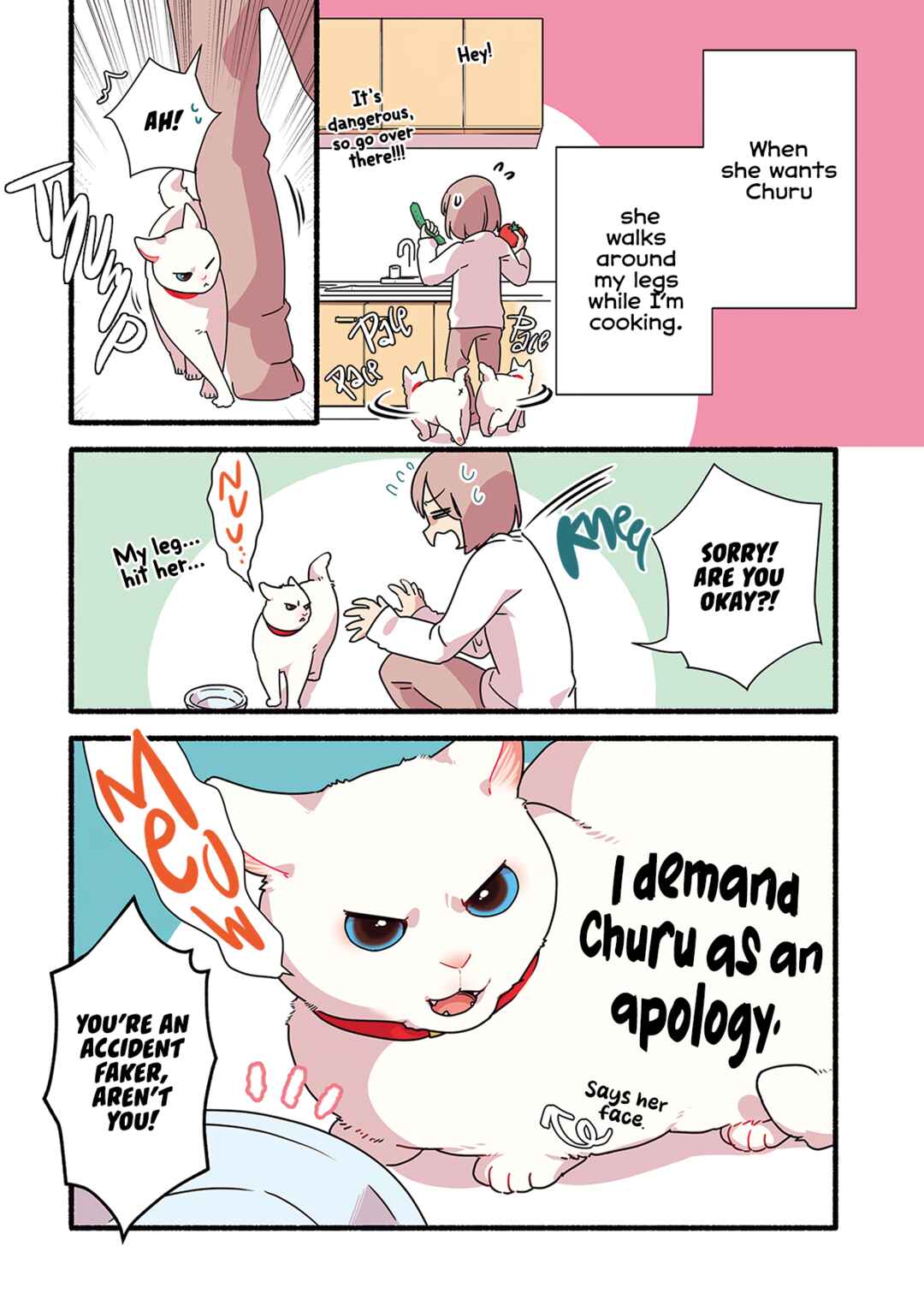 Page 3 Chapter 2.2 Aisaretagari no Shironeko Miko-san