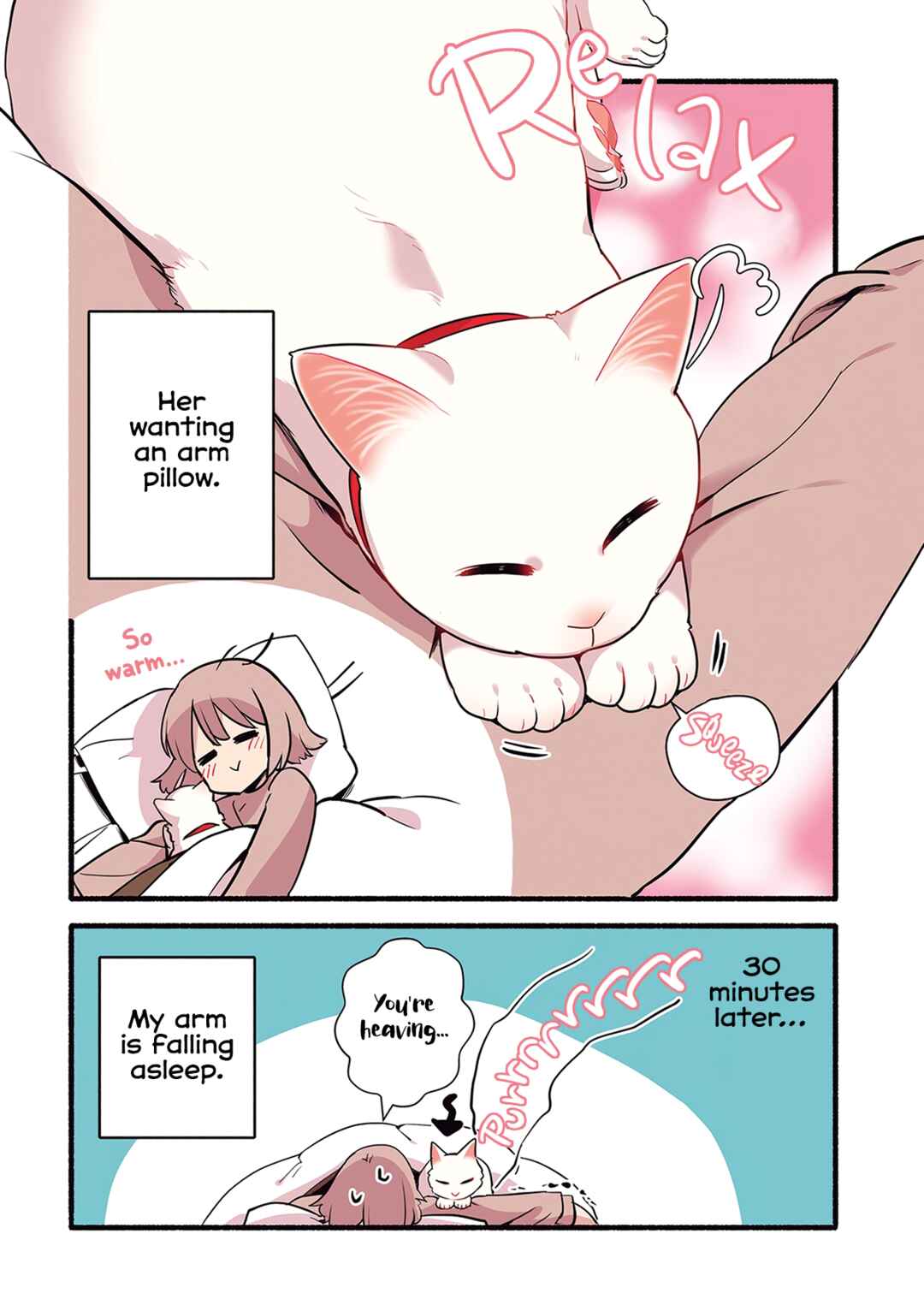 Page 5 Chapter 1.2 Aisaretagari no Shironeko Miko-san