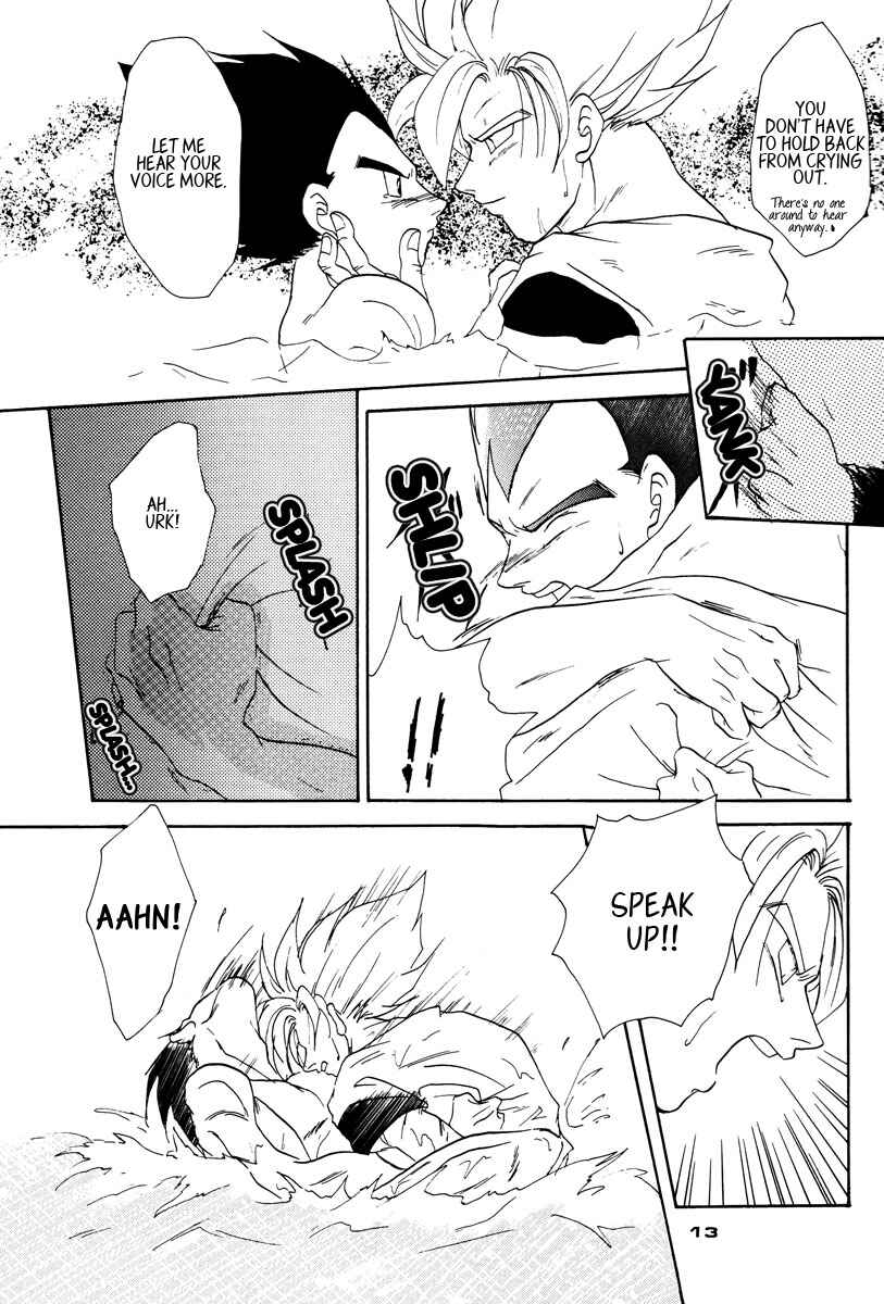 Page 14 Chapter Unknown_671d Dragon Ball - PLEASURE (Doujinshi)