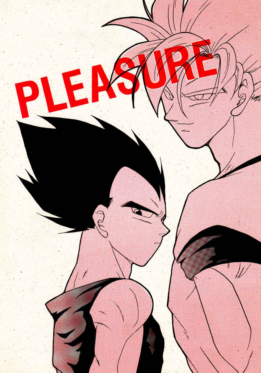 Page 2 Chapter Unknown_671d Dragon Ball - PLEASURE (Doujinshi)