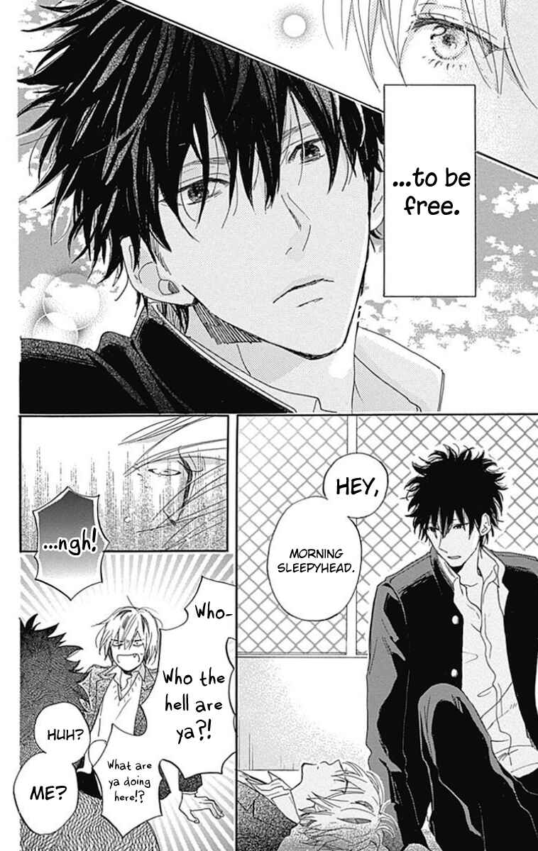 Page 8 Chapter 6 Stella to Mille Feuille