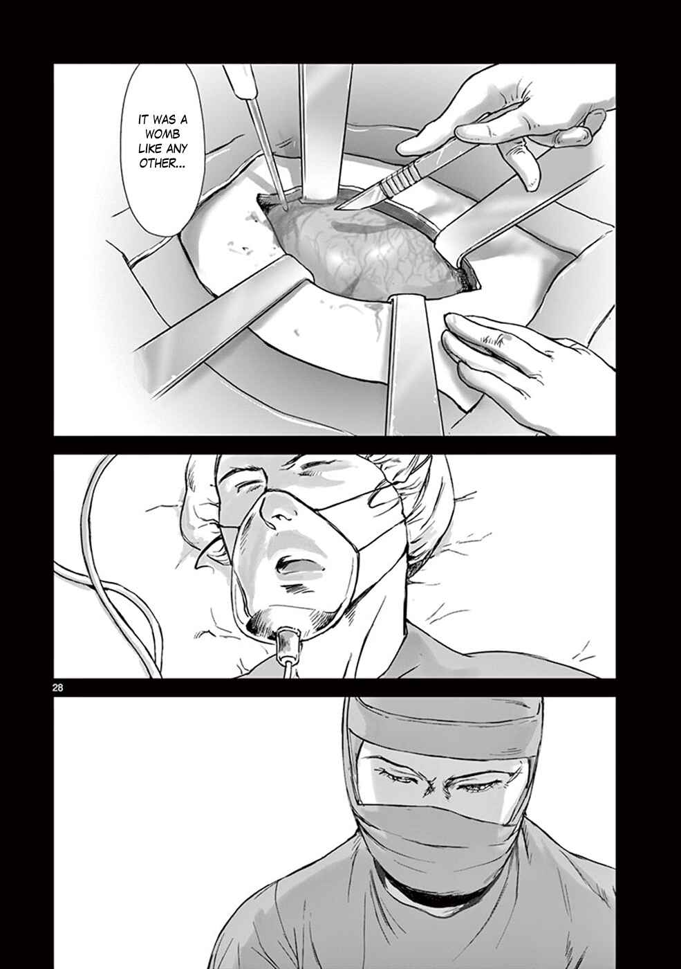 Page 34 Chapter 24 Wombs