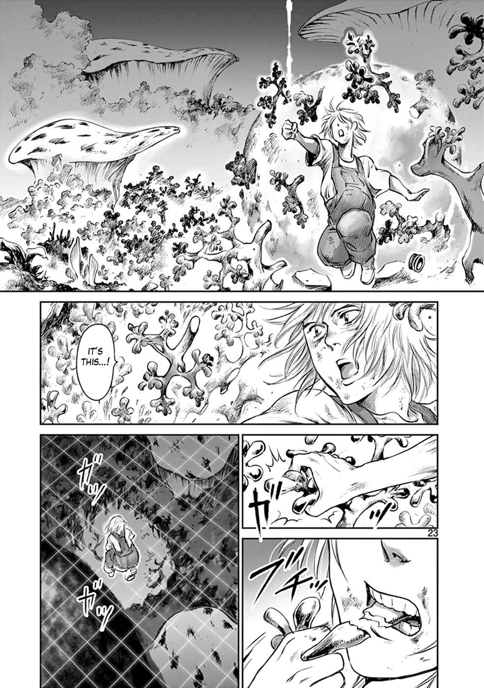 Page 22 Chapter 36 Wombs