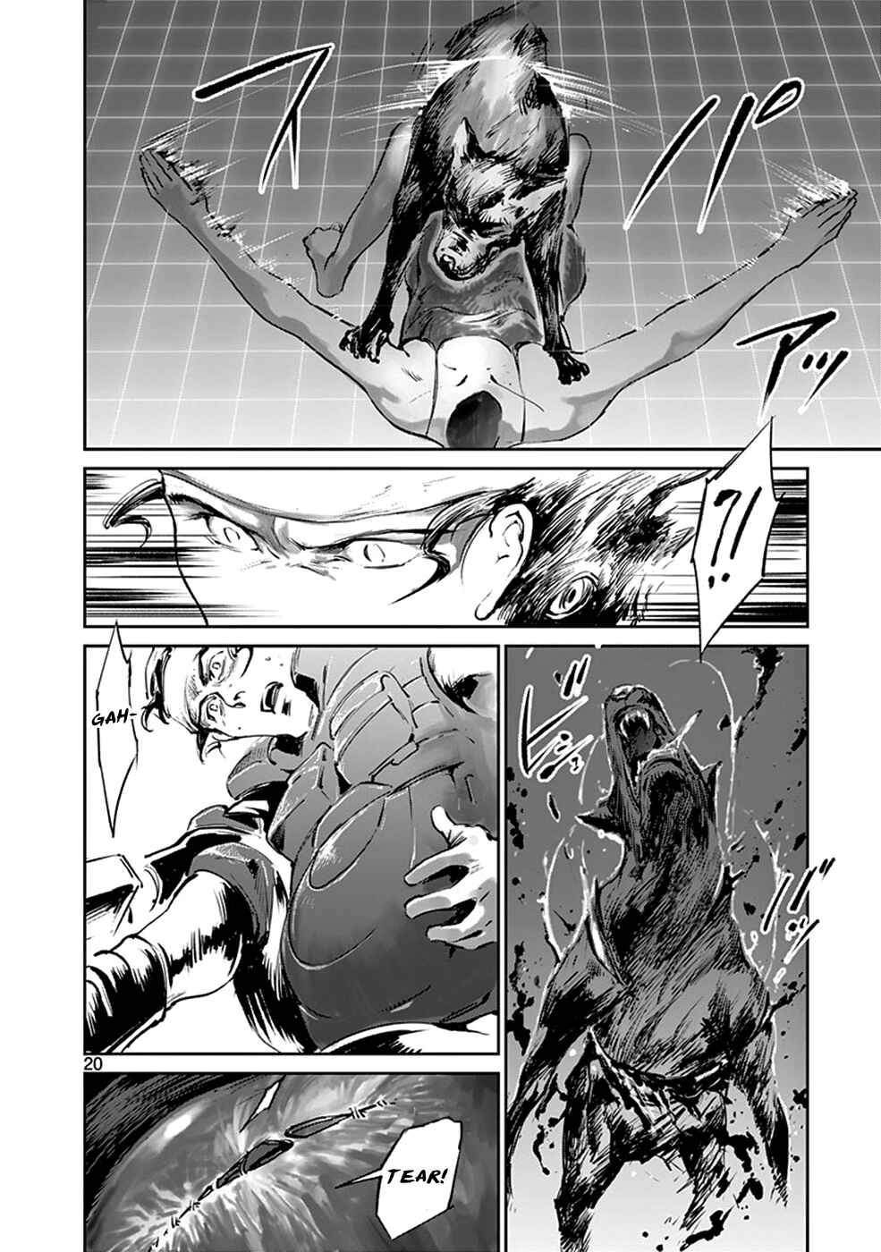 Page 20 Chapter 40 Wombs