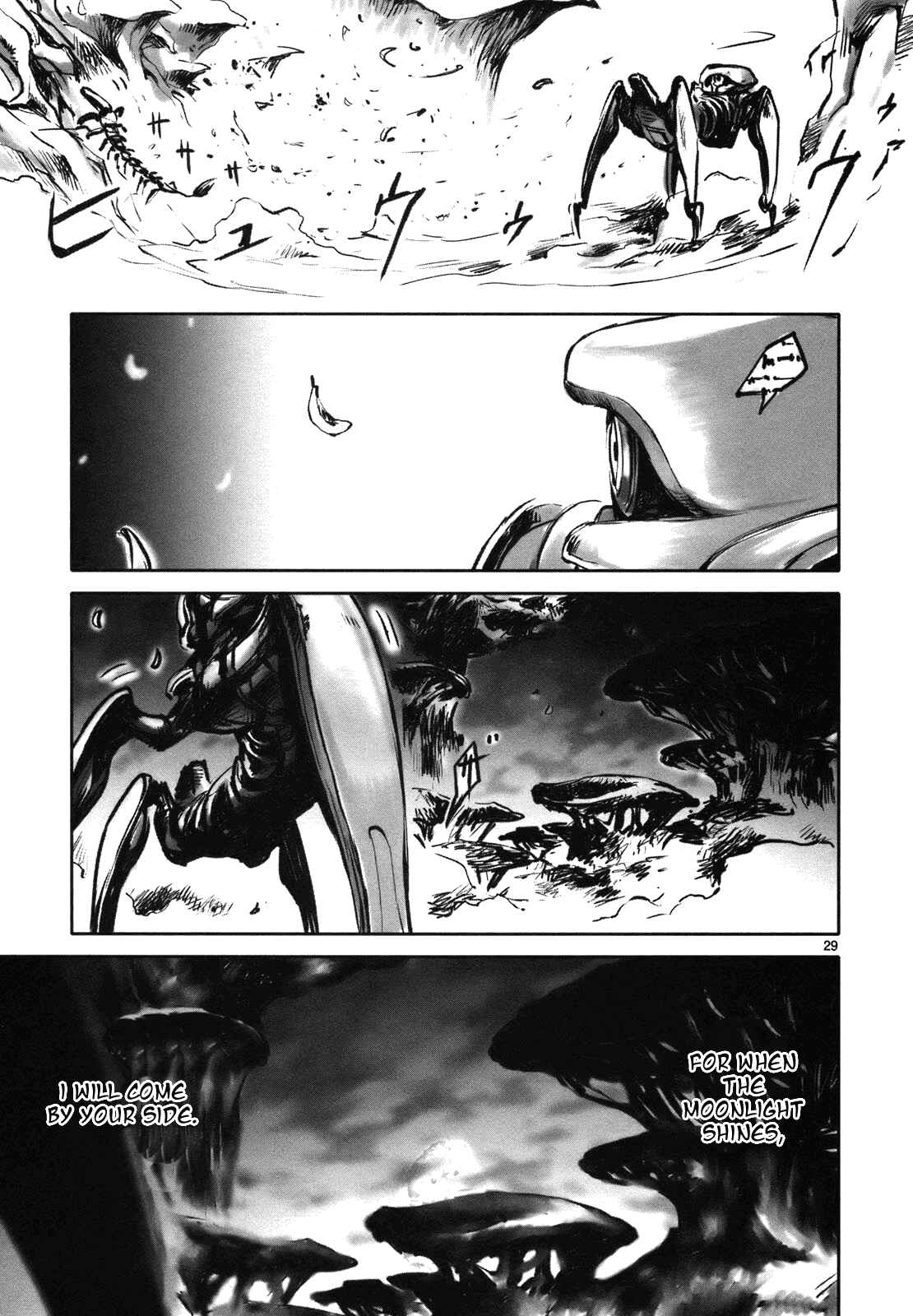 Page 31 Chapter 8 Wombs