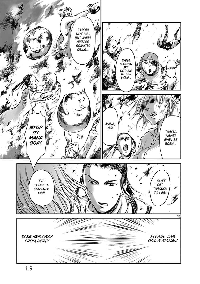 Page 18 Chapter 33 Wombs