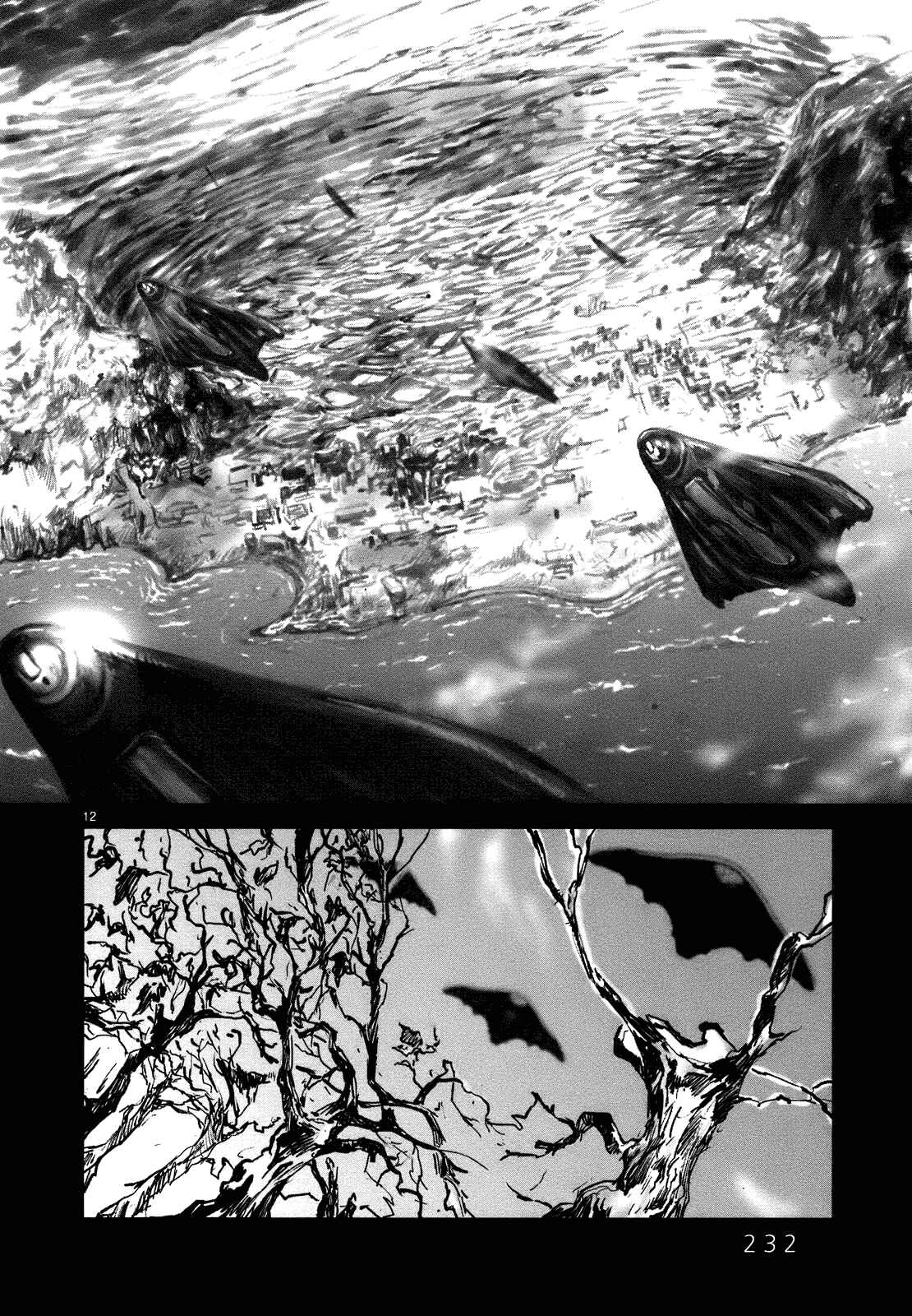 Page 14 Chapter 23 Wombs