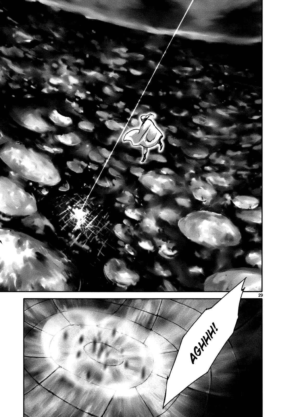 Page 31 Chapter 22 Wombs