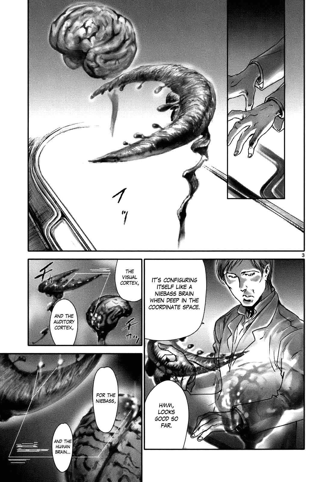 Page 5 Chapter 22 Wombs