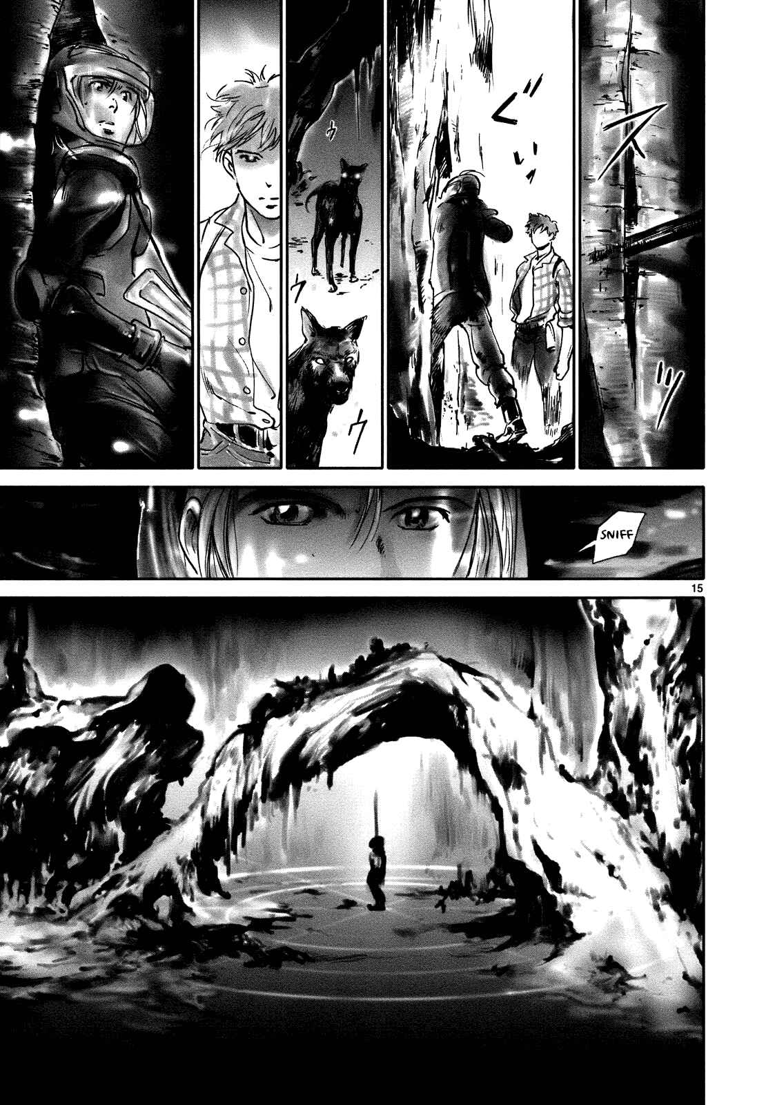 Page 15 Chapter 18 Wombs