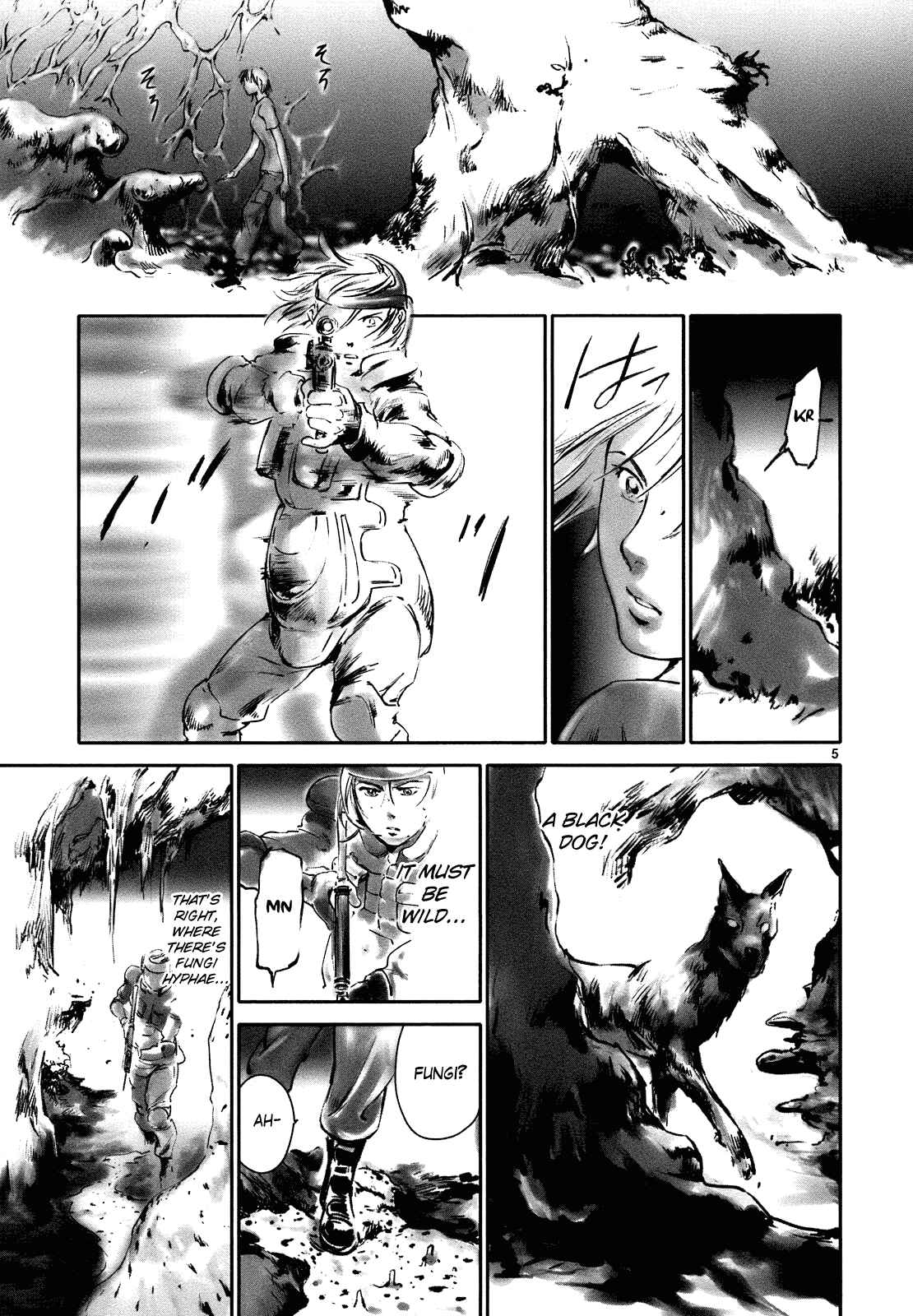Page 5 Chapter 18 Wombs