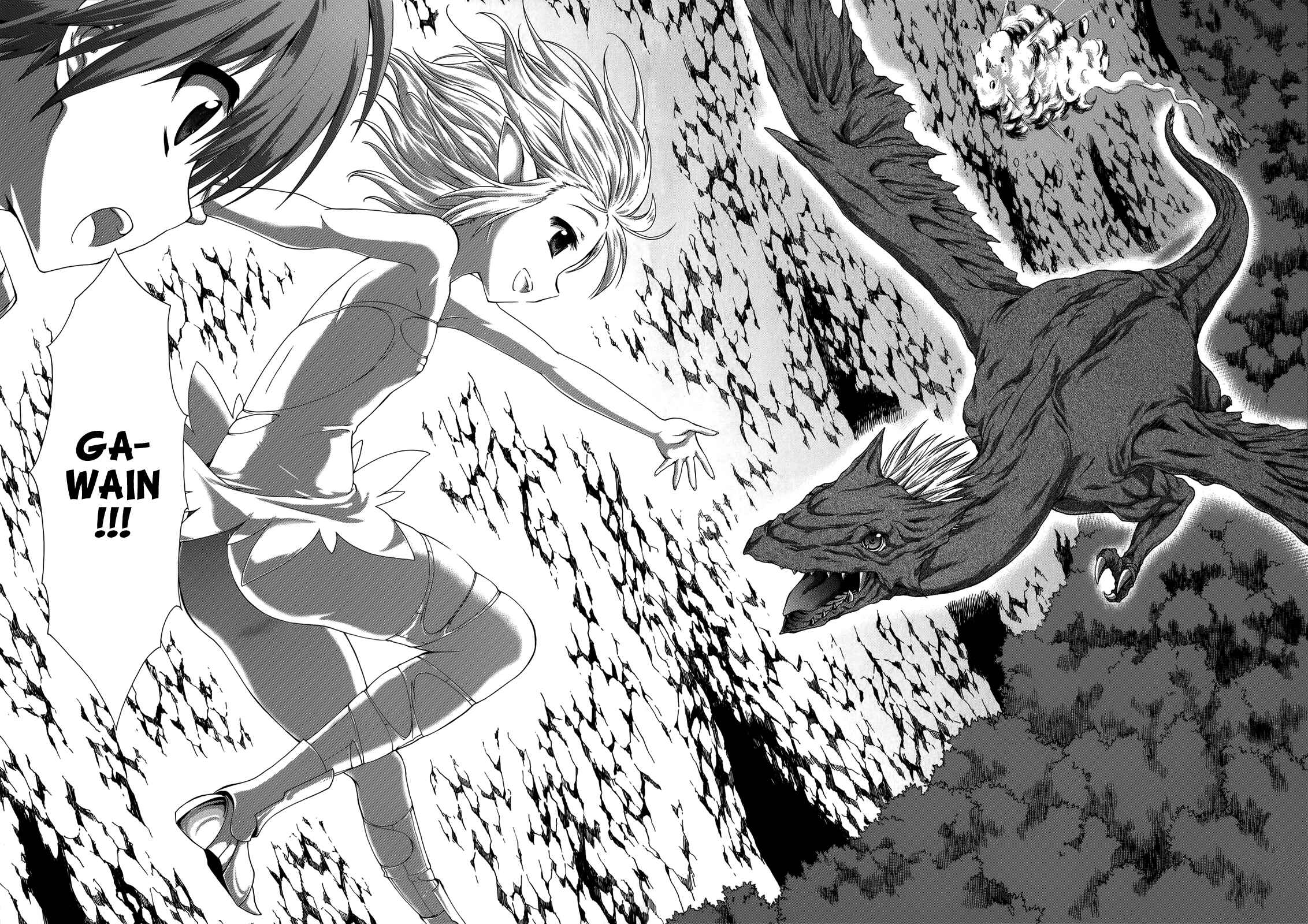 Page 25 Chapter 23 Seikoku no Dragonar
