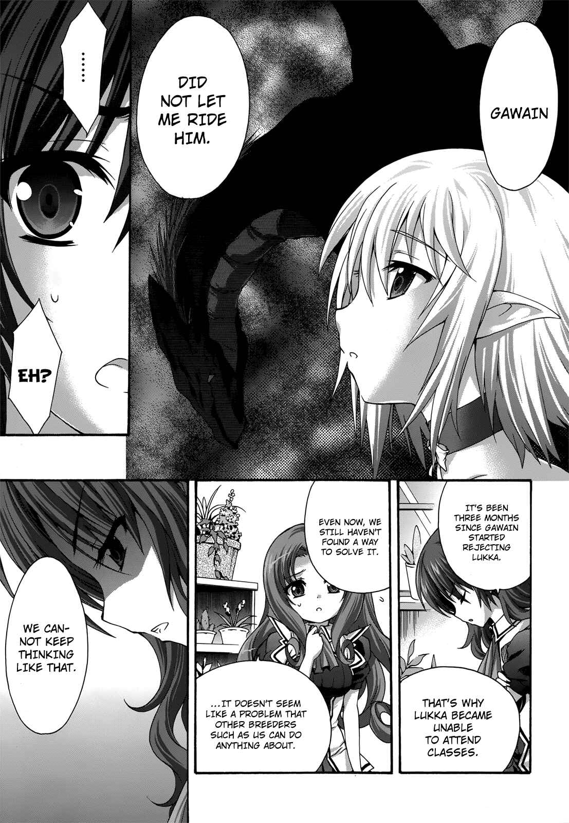 Page 28 Chapter 17 Seikoku no Dragonar