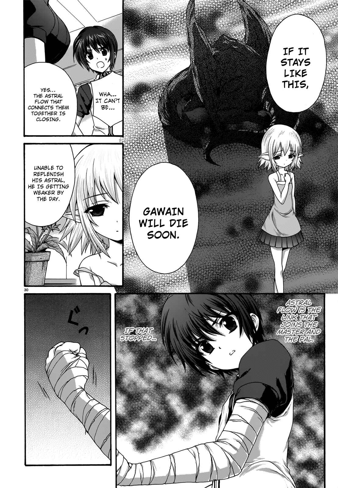 Page 29 Chapter 17 Seikoku no Dragonar