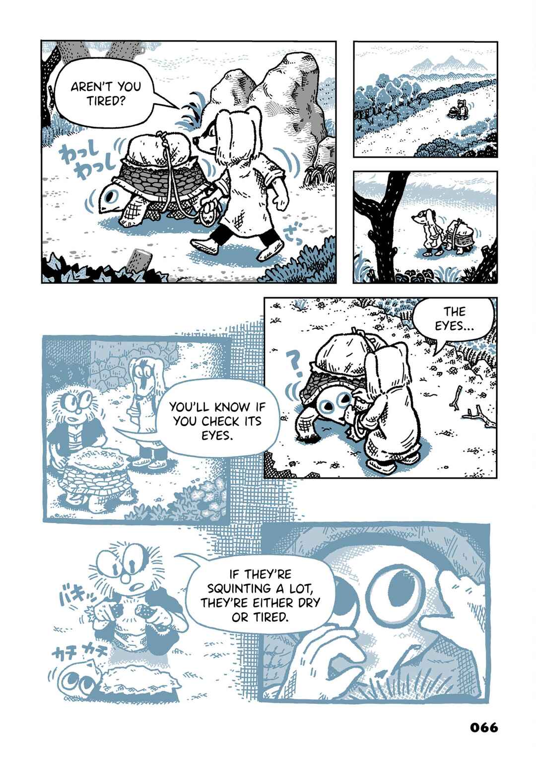Page 4 Chapter 5 Leteitenite