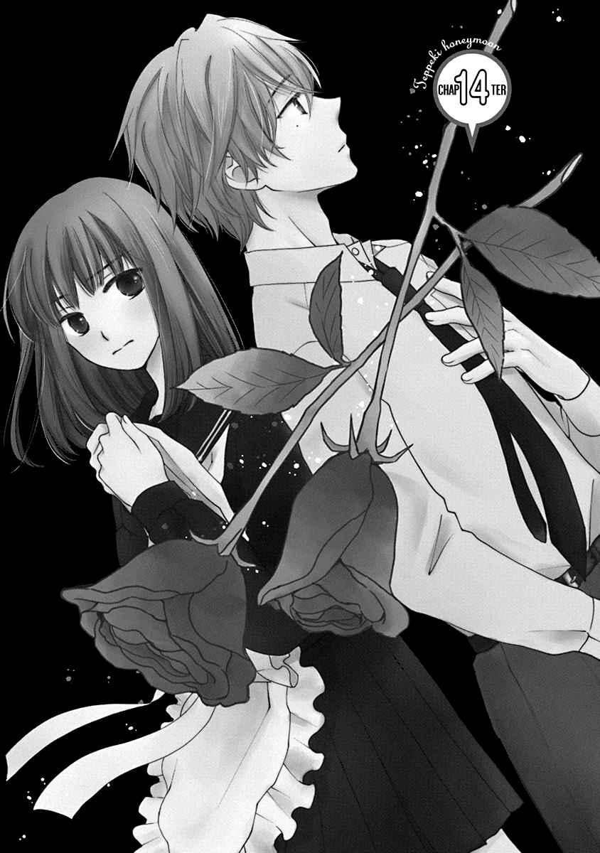 Page 4 Chapter 14 Teppeki Honeymoon