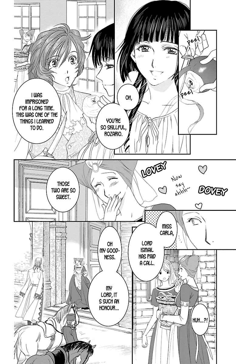Page 13 Chapter 14 Princess Ledalia ~The Rose Pirate~