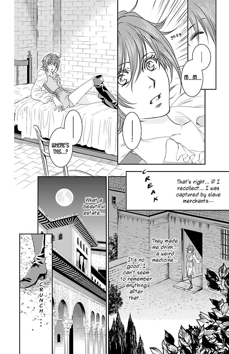 Page 27 Chapter 3 Princess Ledalia ~The Rose Pirate~