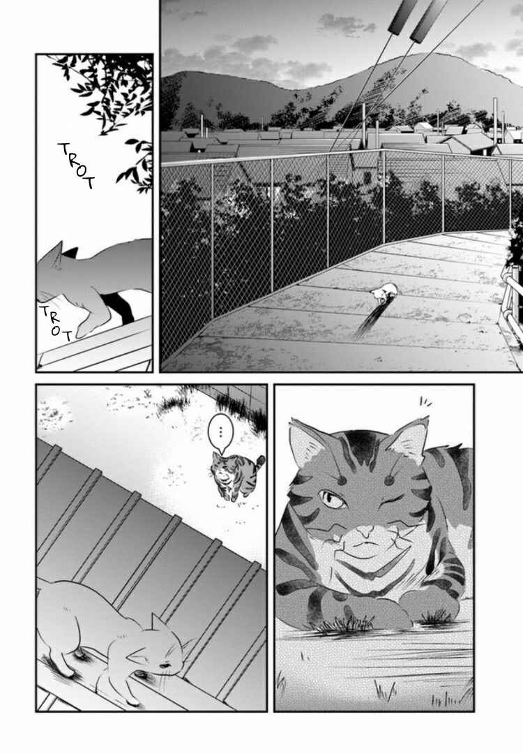 Page 27 Chapter 4 Nakitai Watashi wa Neko o Kaburu