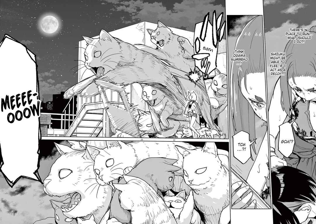 Page 6 Chapter 50 Mysterious Disappearances