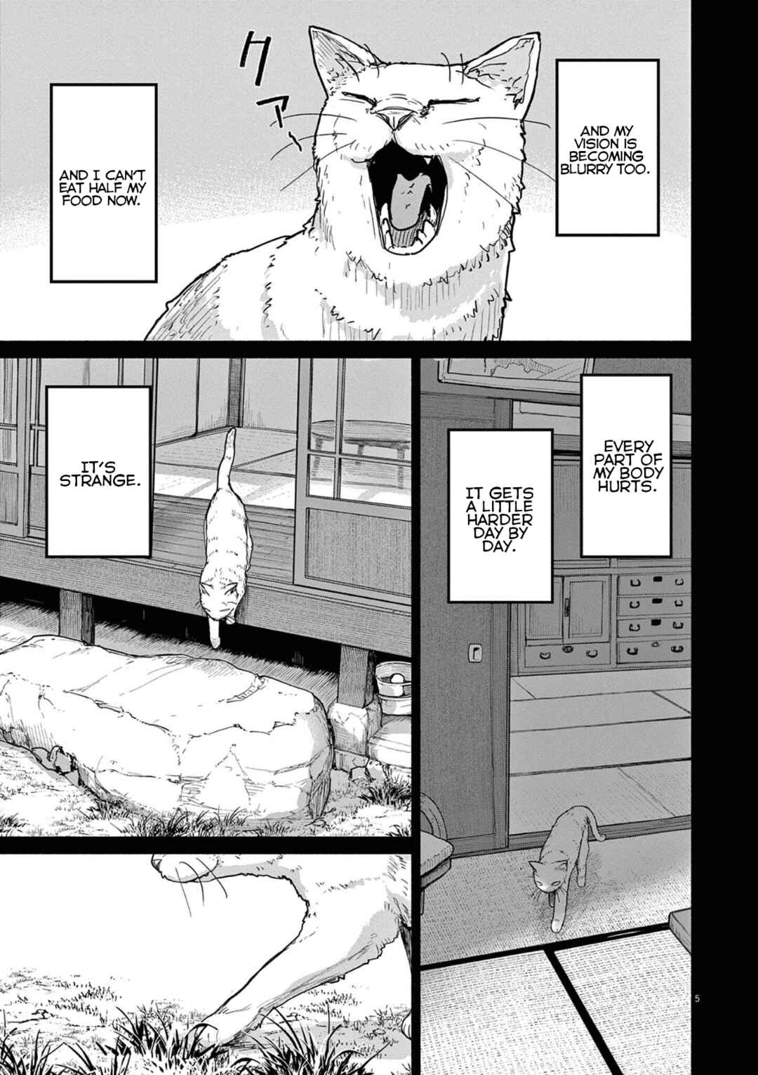 Page 5 Chapter 49 Mysterious Disappearances