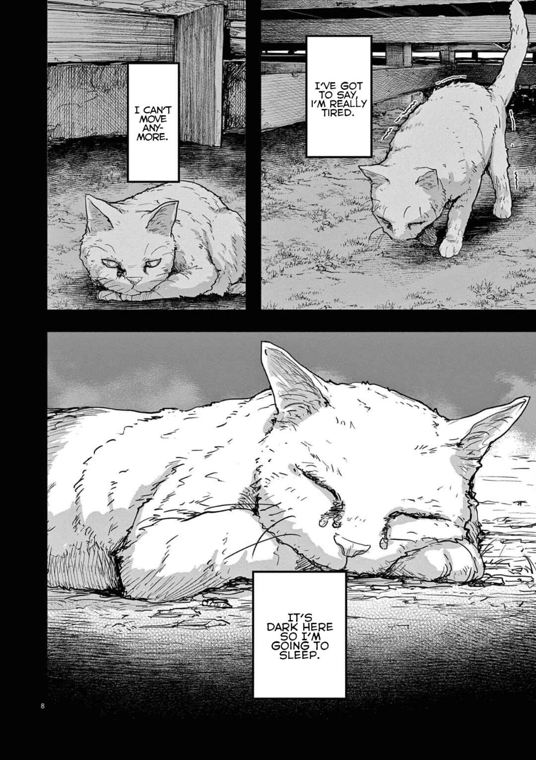 Page 8 Chapter 49 Mysterious Disappearances