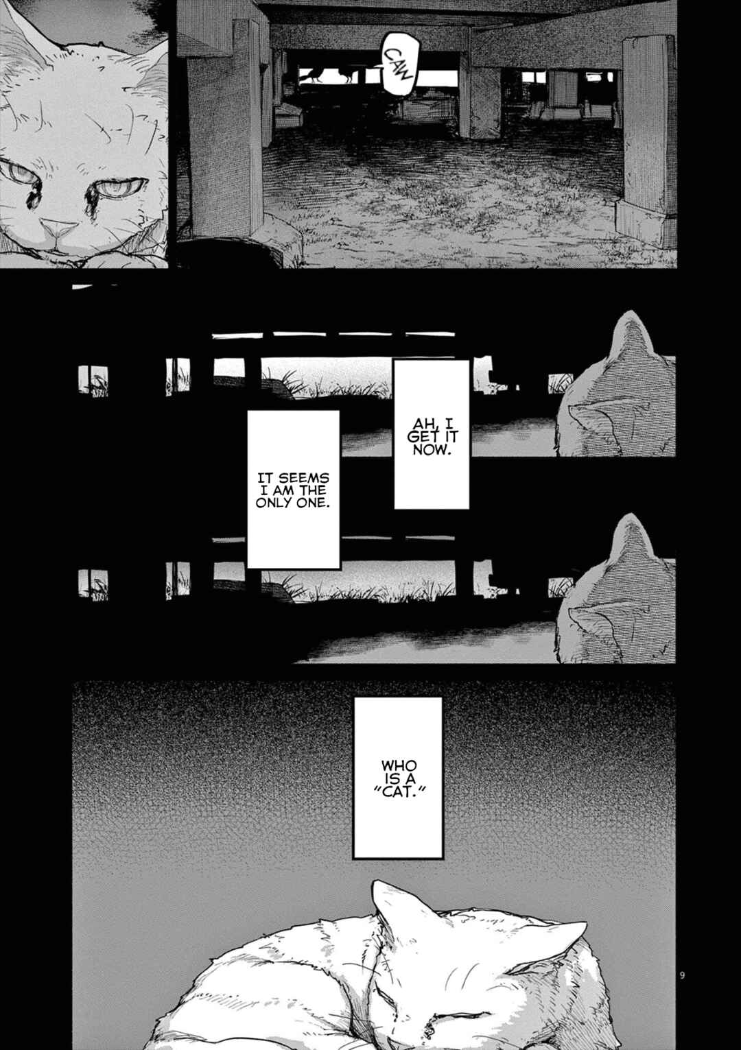 Page 9 Chapter 49 Mysterious Disappearances