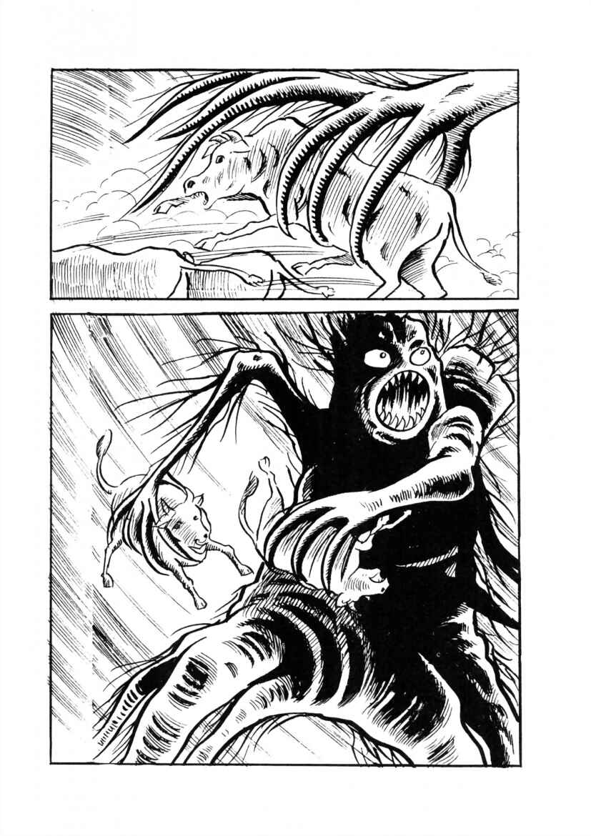 Page 46 Chapter 2 The Cat-Eyed Doll