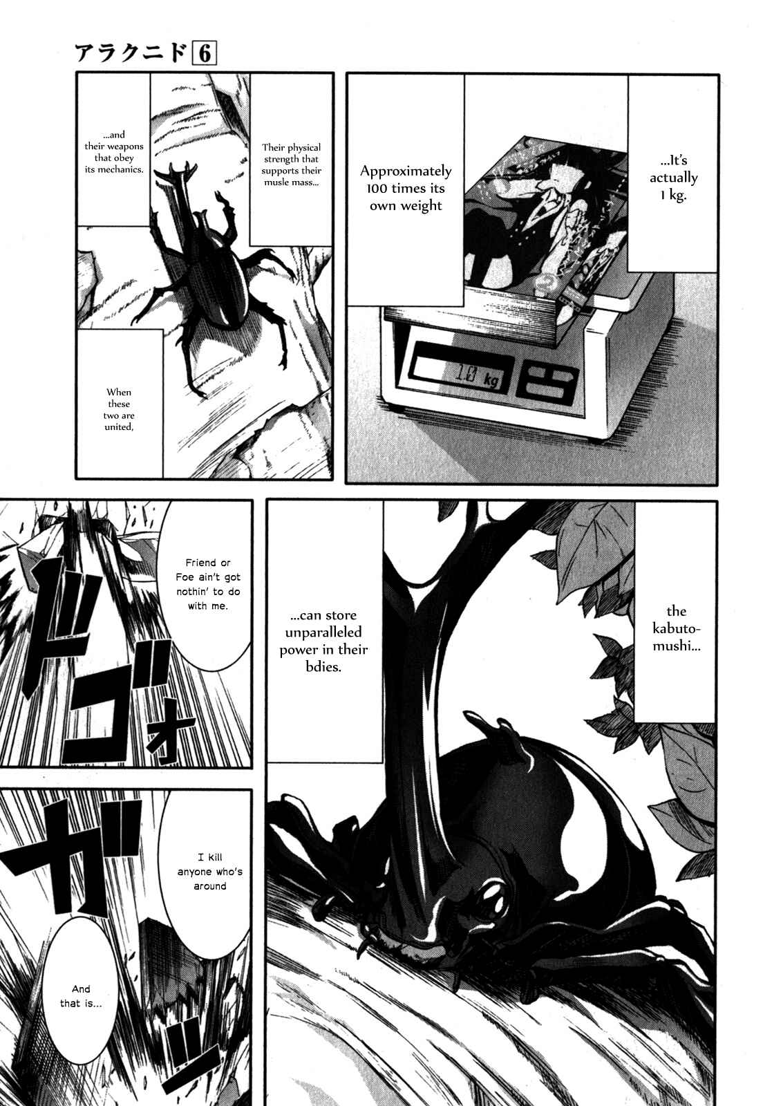 Page 36 Chapter 28 Arachnid