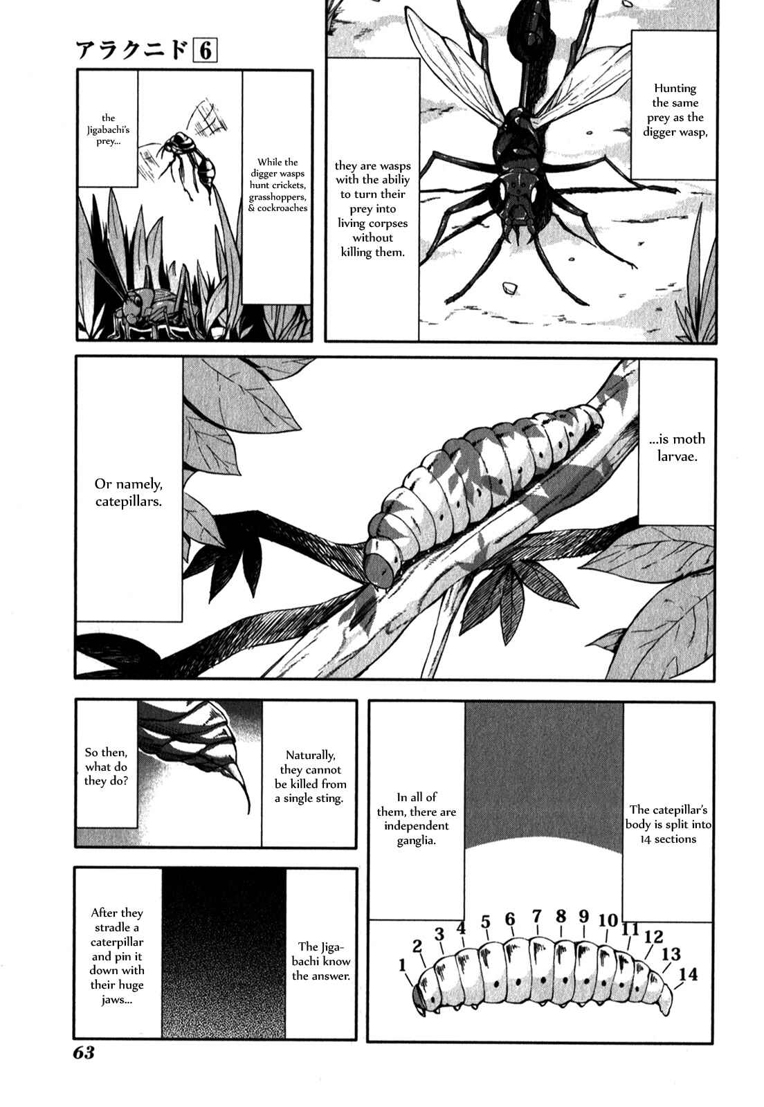 Page 5 Chapter 28 Arachnid