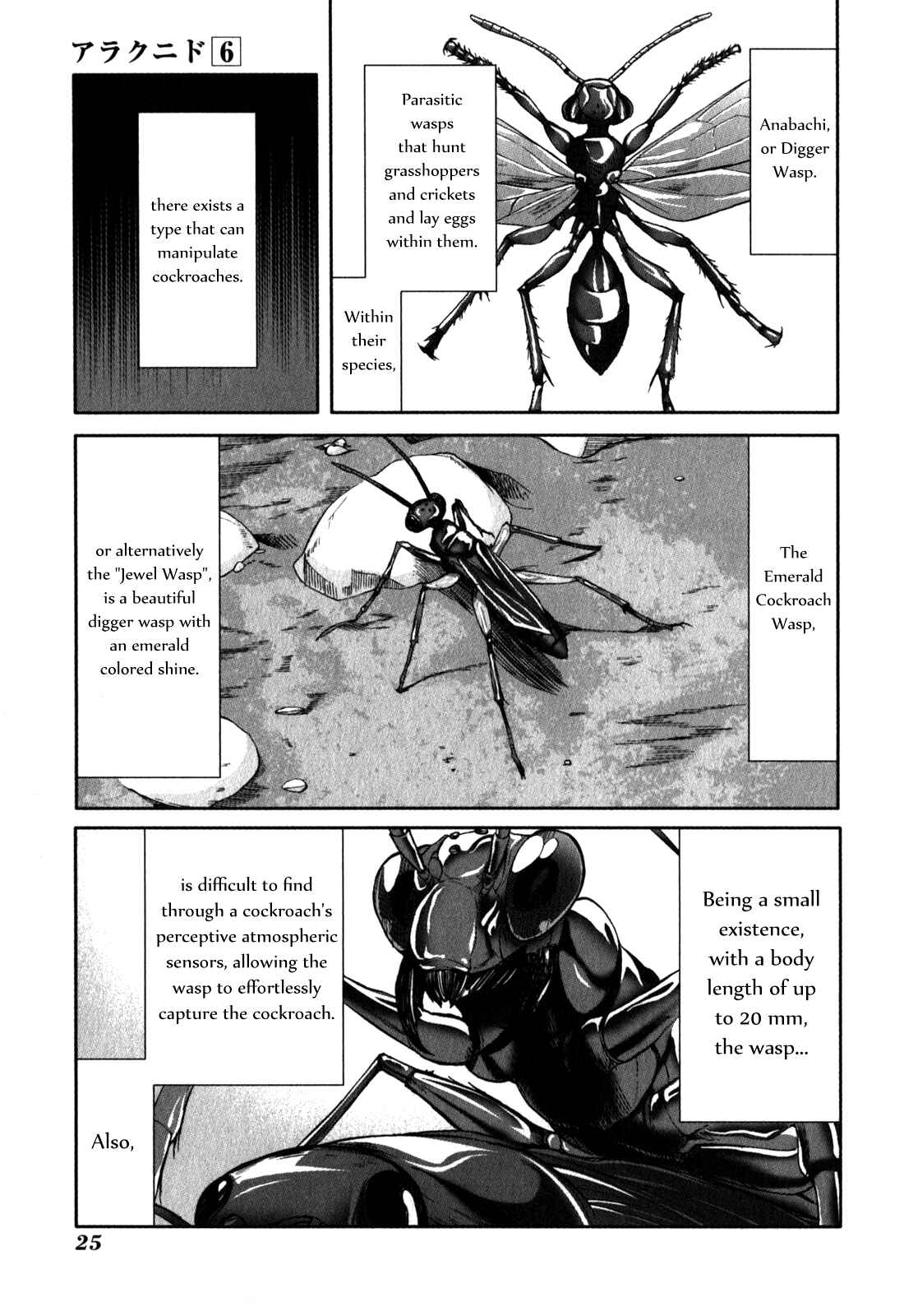Page 26 Chapter 26 Arachnid
