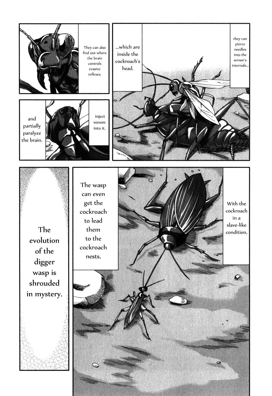 Page 27 Chapter 26 Arachnid