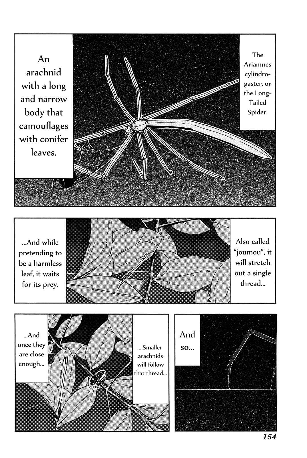 Page 4 Chapter 5 Arachnid