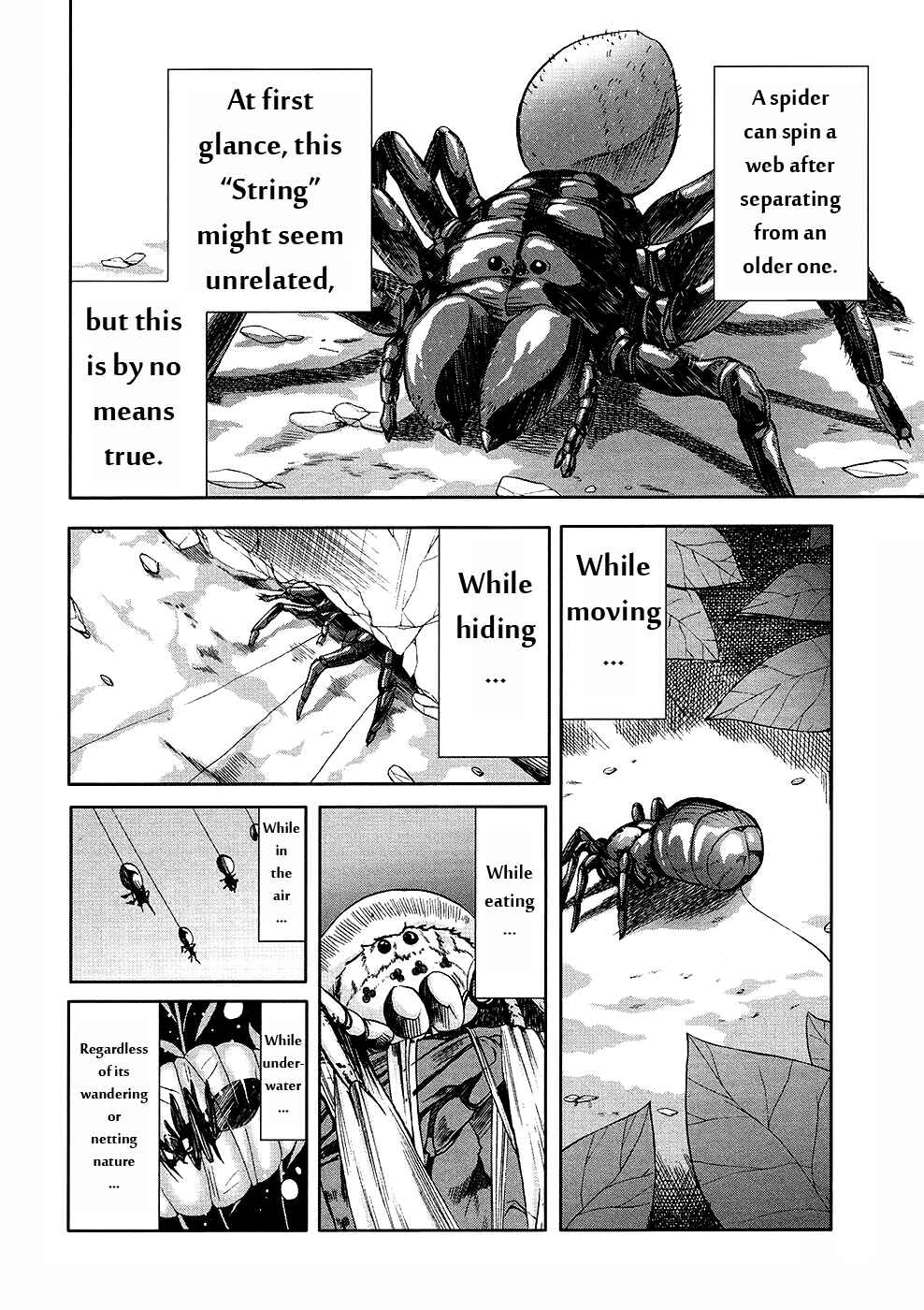 Page 37 Chapter 31 Arachnid