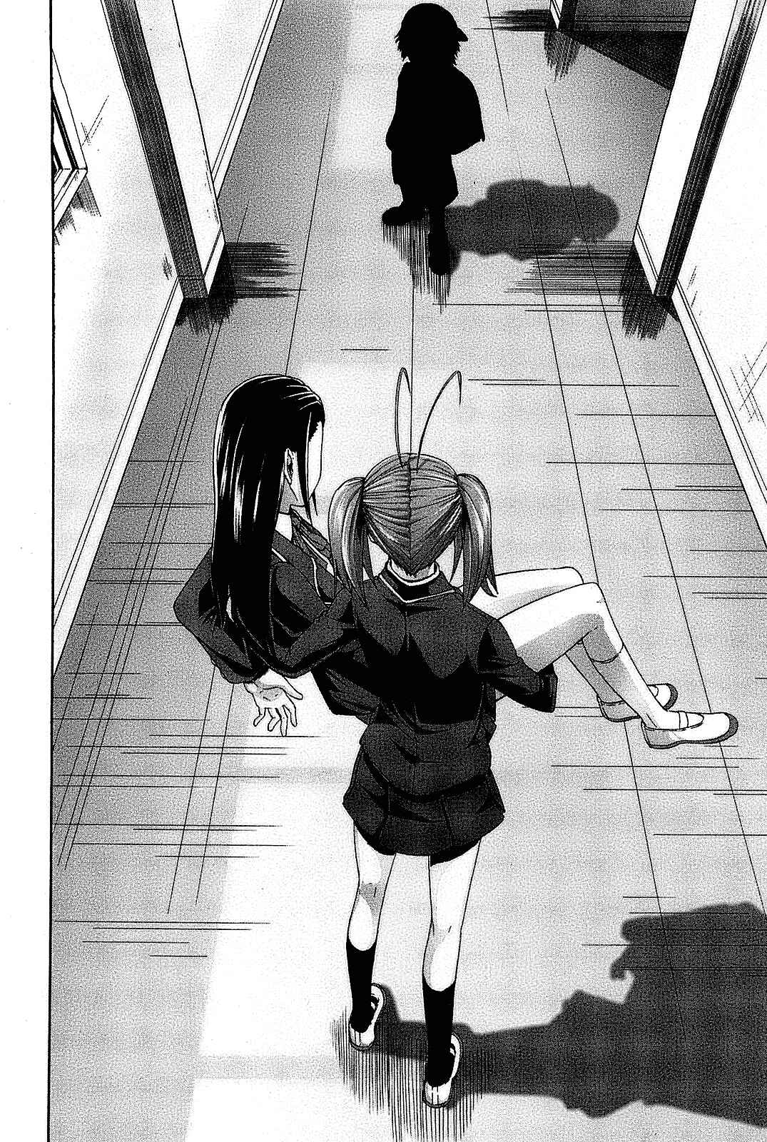 Page 10 Chapter 24 Arachnid