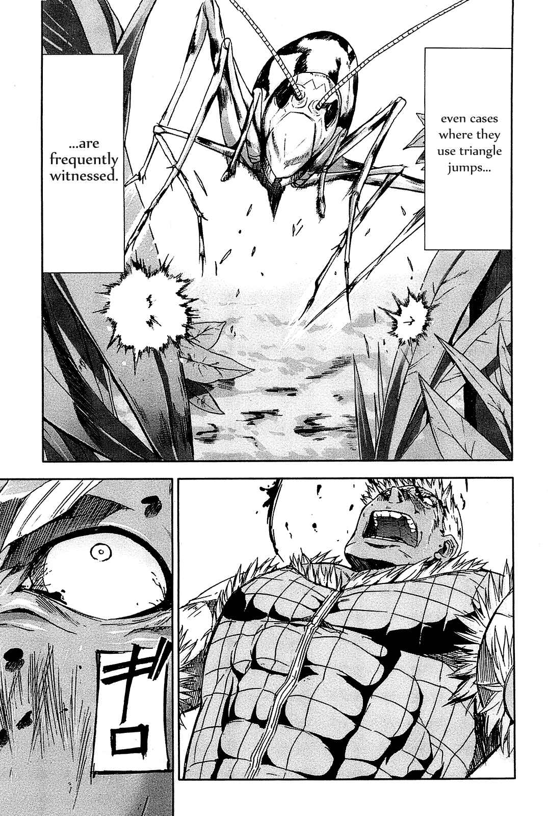 Page 28 Chapter 24 Arachnid