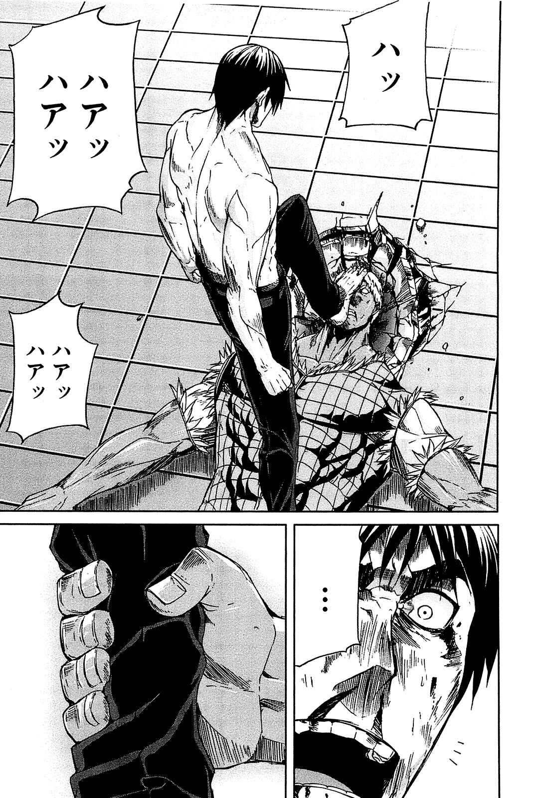 Page 35 Chapter 24 Arachnid