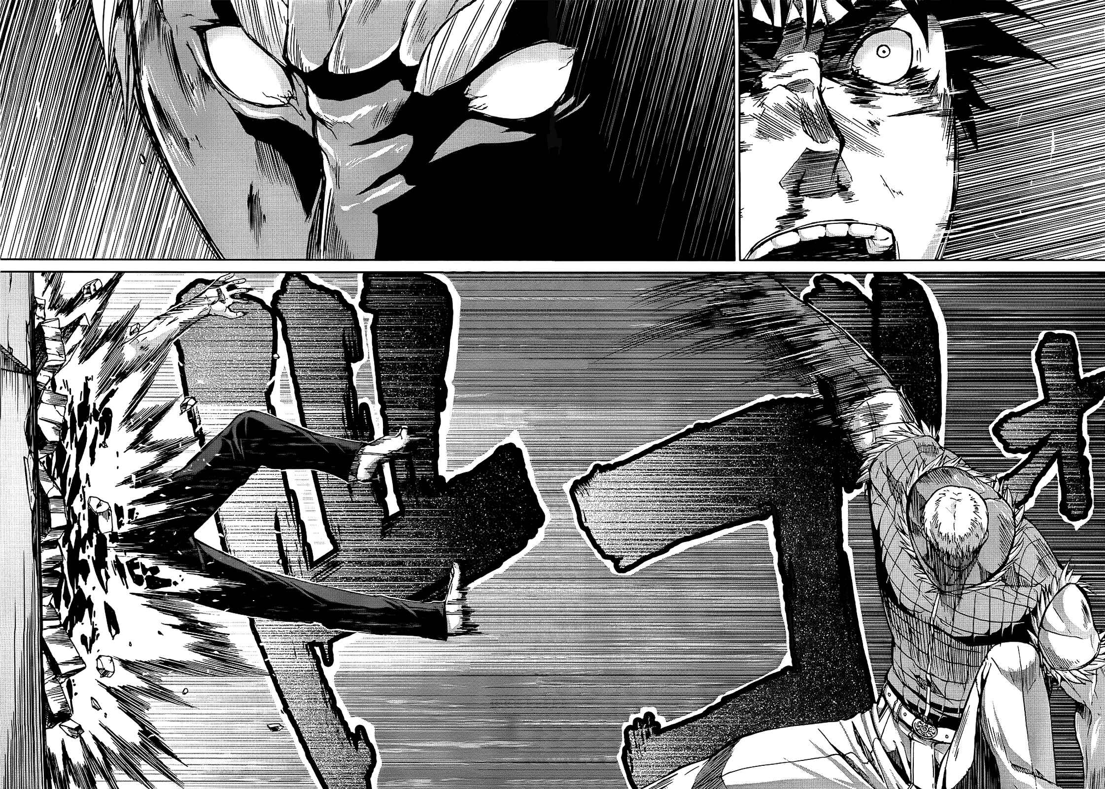 Page 36 Chapter 24 Arachnid