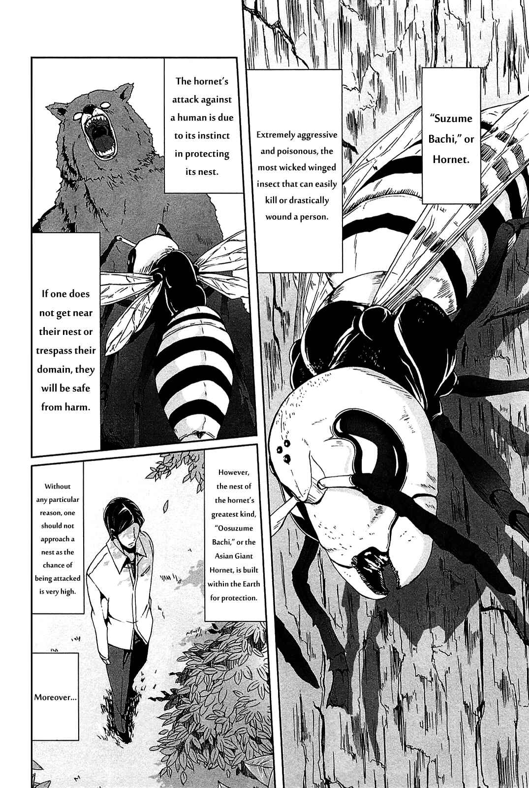 Page 2 Chapter 2 Arachnid