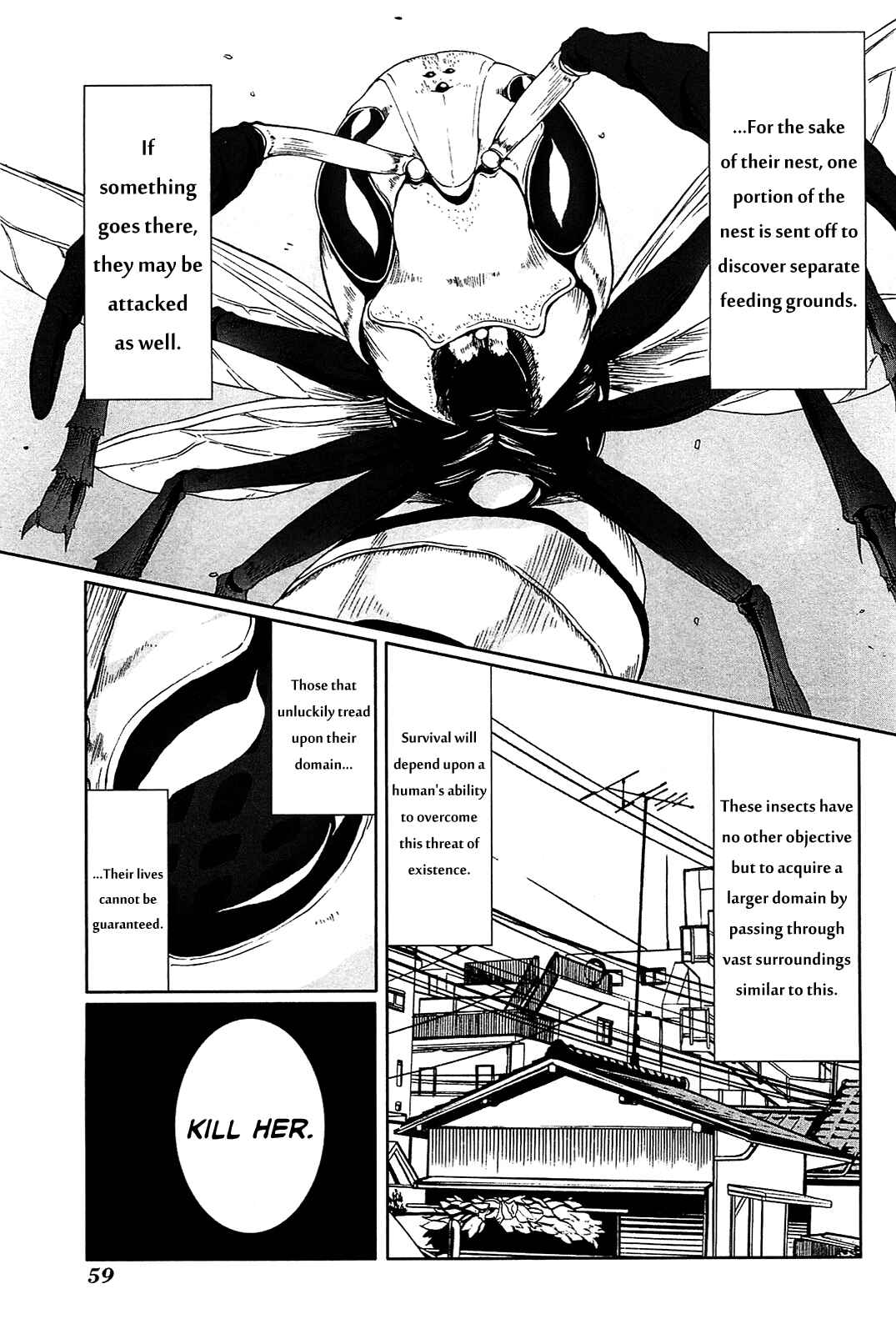 Page 3 Chapter 2 Arachnid
