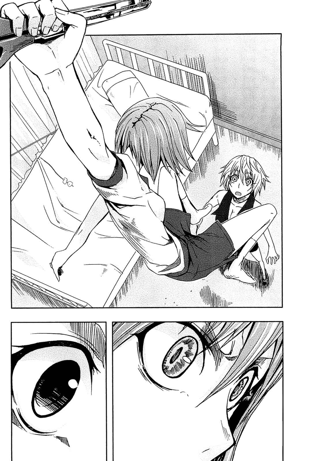 Page 34 Chapter 7 Arachnid